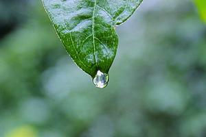 Top Ten Situations that are Hard to Be in Without Laughing