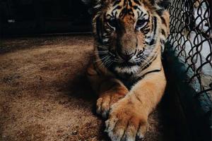 Best Jokes of All Time