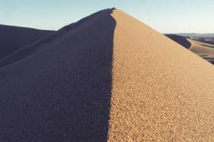 Top 10 Things Wrong with Warrior Cats