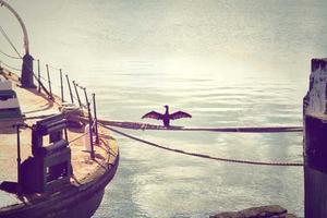 Top Ten Reasons to Shut Down Marineland