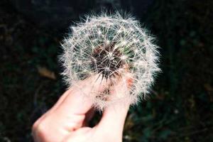 Top 10 Best Enneagram Personality Types