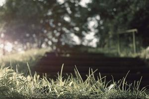 Funniest or Strangest Post Fight In-Ring Interviews in Boxing History