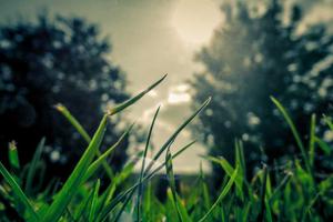 Top 10 Reasons the 2017 World Series (Astros/Dodgers) Was Better Than the 2016 World Series (Cubs/Indians)