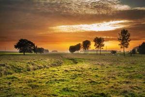 Top 10 Best Yo Mama So Poor Jokes