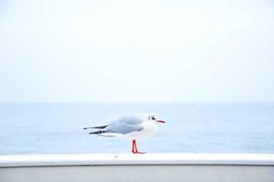 Top 10 Misconceptions About Introverts