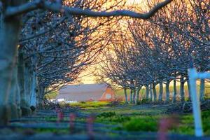 Top Ten Worst Things About Parties