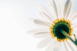 Top Ten Things Christians Struggle With