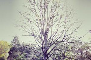 Top Ten Things Marijuana Can Help You With