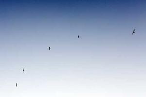 Countries With the Most COVID-19 (Coronavirus) Cases