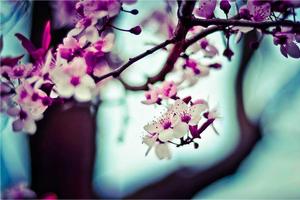 Top Ten Best Things About Being a Quiet Person