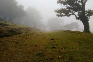 Top 10 Worst First Names for a Boy