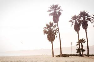 Top 10 Best Signature Moves in WWE History