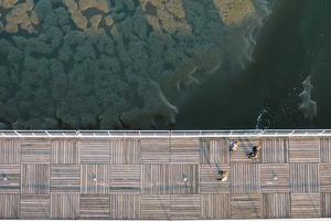 Top 10 Greatest Ford Cars of All Time