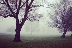 Top Ten Best Kinds of Student Clubs and Societies to Sign Up for at University