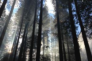 Top 10 Worst First Names for a Girl