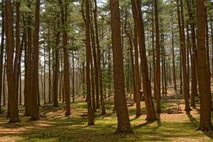 Top 10 Best Exchange Recovery Software Programs