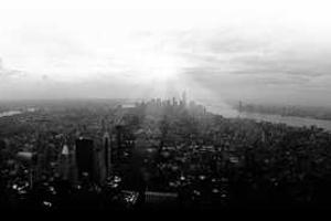 Top Ten Best Stampylongnose Doggies