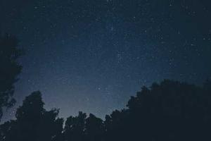 Worst Things About the New Toy Story Land