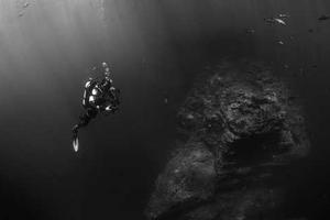 Top Ten Best Stampylongnose Doggies