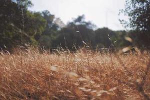 Top Ten Reasons Why Physics is the Best Field of Science