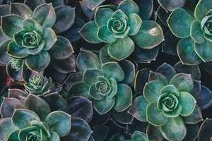 Top Ten Stupid and Funny Labels That Have Actually Been Put On Products