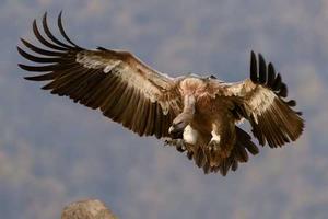 Best Travel Agencies in Nepal