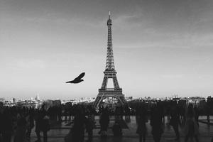 Best U.S. Amazing Race Teams