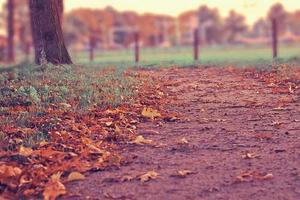Top 10 Mistakes College Freshmen Make