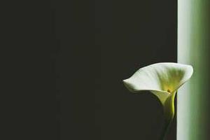 Top 10 Prettiest Names for a Black Girl