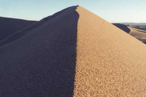 Top 10 Time-Tracking Solutions for Employers