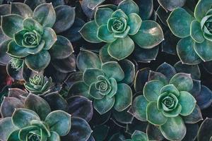 Top Ten Reasons to Stay Single