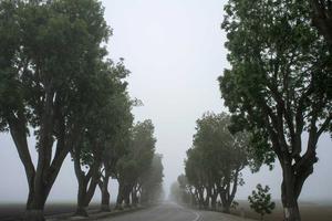 Top 10 Best College Football Rivalries