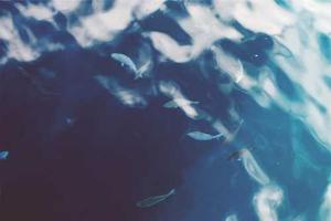 Top 10 Most Common Myths About Depression