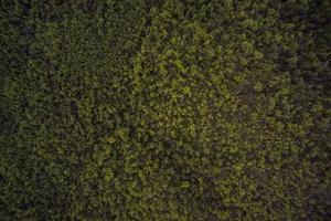 Most Brutal Battles of World War I