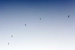 Best Rides at Blackpool Pleasure Beach