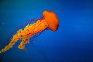 The 100 Mind-Blowing Devices You Can