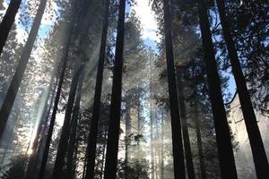 Top 10 NBA Assists Leaders of All Time