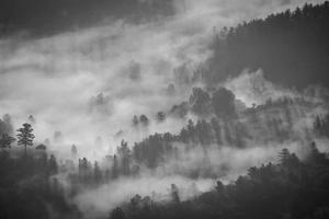 Top Ten Roblox Squid Game Minigames (Trendsetter Games)