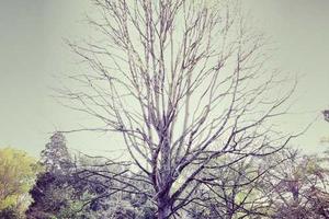 Top Ten Things Not All British People Actually Do