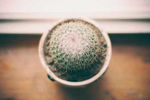 Top 10 Best Chrome Extensions of 2024