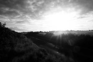 Top Ten Worst Moments of Unnecessary Cruelty in Total Drama