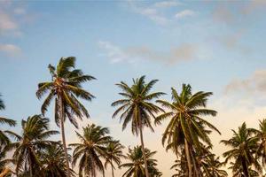 Top 10 Pharma Companies Aligned Towards Improving Access to Medicines in Bangladesh