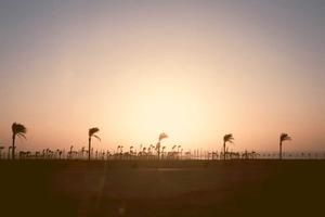 Top Ten Reasons People Refuse to Believe that Being Gay is Not a Choice