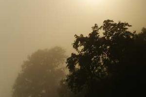 Top 10 Most Common Myths About Depression