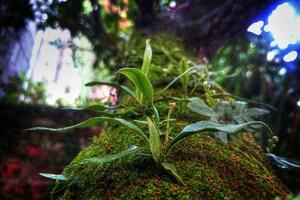 Top 10 Best My Little Pony: Equestria Girls Songs