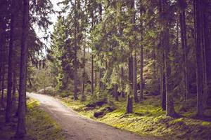 The Top 10 Ways to Cut Costs and Boost Your Savings