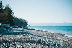 Top 10 Wordpress Themes and Plugins for Business Websites