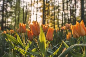 The 10 Best Investment Strategies to Grow Your Wealth