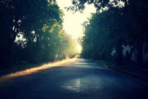 Top Ten Among Us Polus Tasks