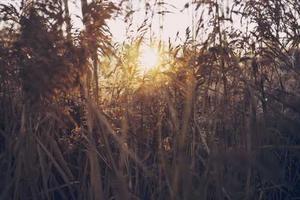 Things Atheists Need to Understand About Religious People